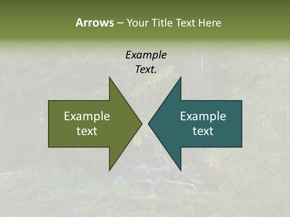 Wilderness Coniferous Vegetation PowerPoint Template