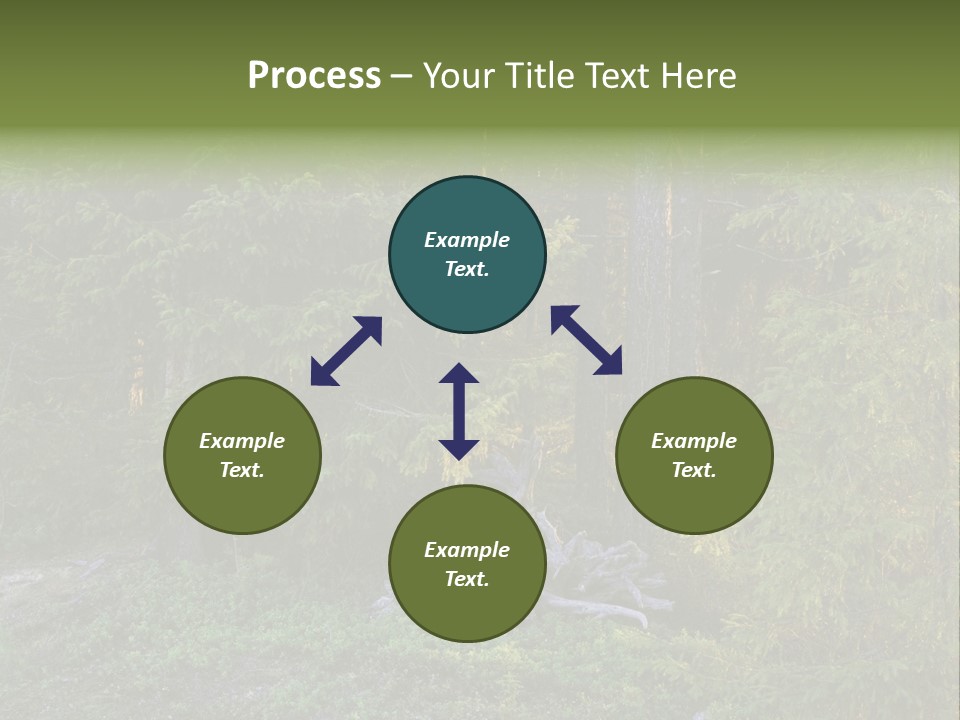 Wilderness Coniferous Vegetation PowerPoint Template