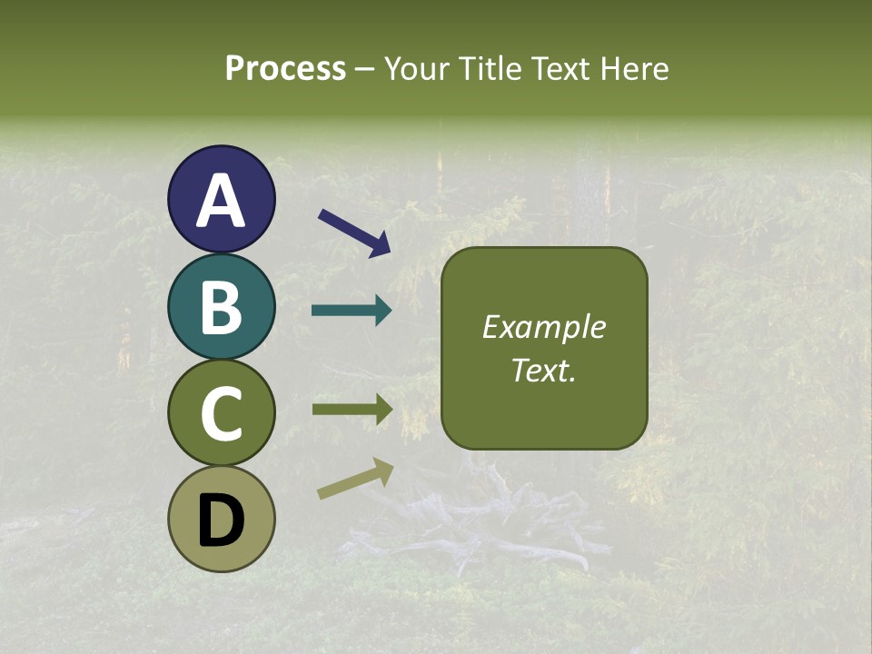 Wilderness Coniferous Vegetation PowerPoint Template