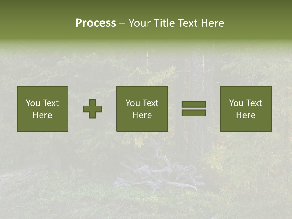 Wilderness Coniferous Vegetation PowerPoint Template