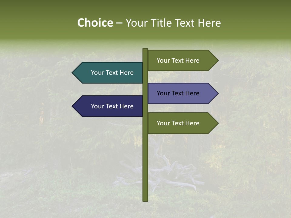 Wilderness Coniferous Vegetation PowerPoint Template