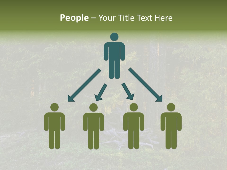 Wilderness Coniferous Vegetation PowerPoint Template