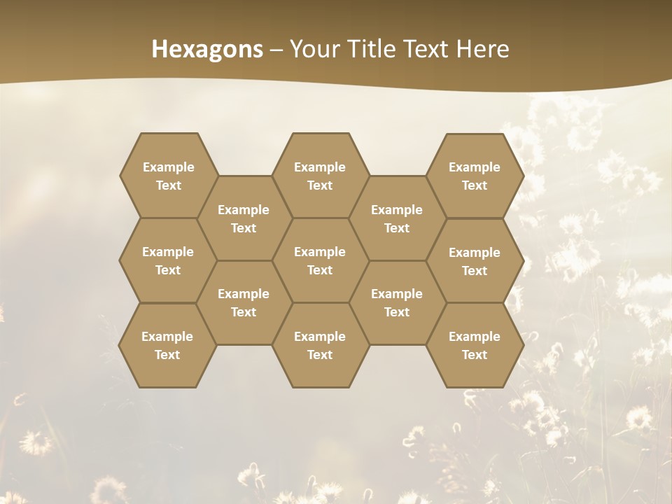 Road Lawn Landscape PowerPoint Template