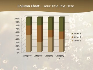 Road Lawn Landscape PowerPoint Template