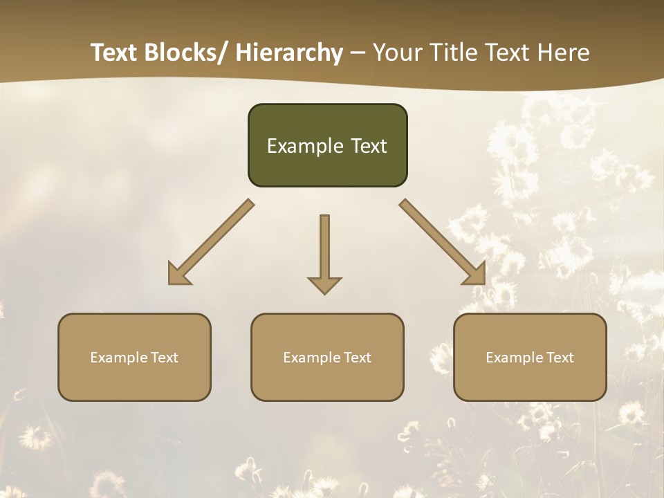 Road Lawn Landscape PowerPoint Template