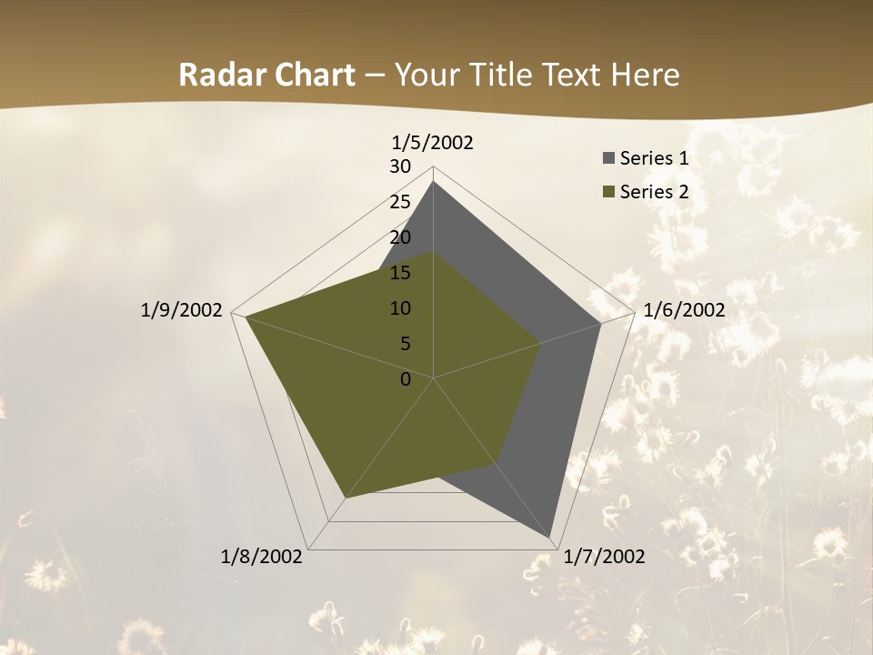 Road Lawn Landscape PowerPoint Template