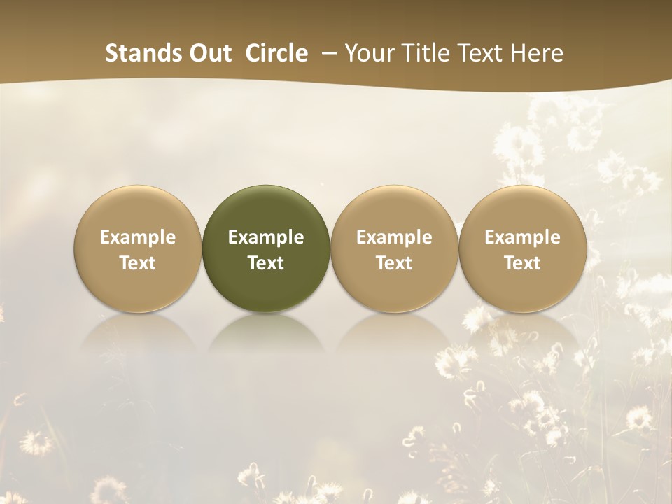 Road Lawn Landscape PowerPoint Template