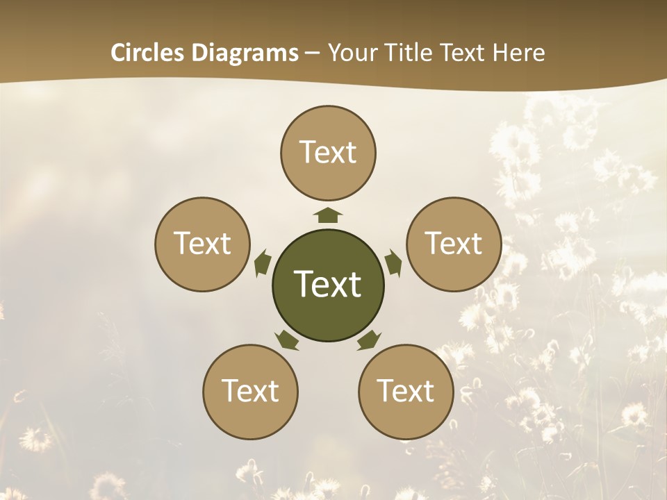 Road Lawn Landscape PowerPoint Template