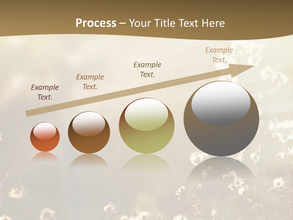 Road Lawn Landscape PowerPoint Template
