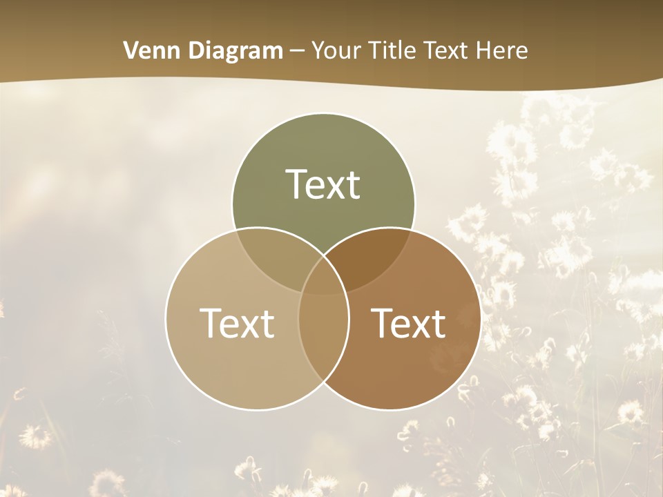 Road Lawn Landscape PowerPoint Template