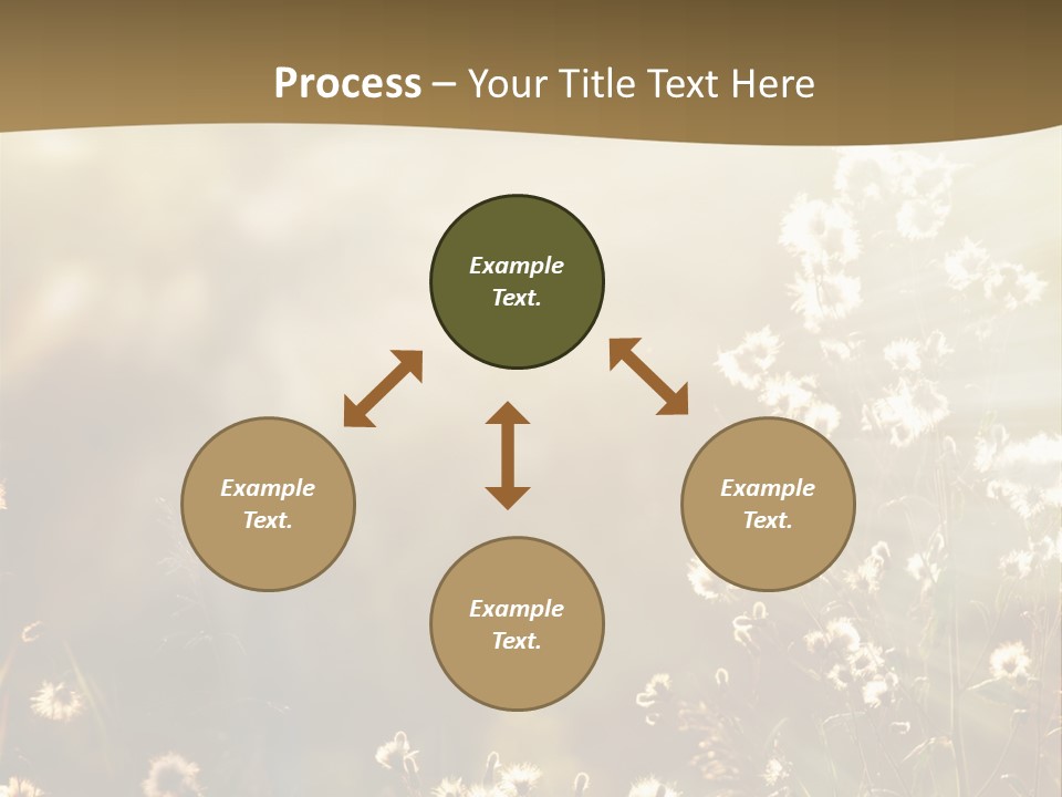 Road Lawn Landscape PowerPoint Template
