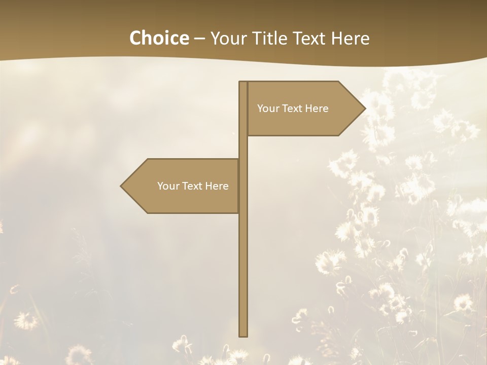 Road Lawn Landscape PowerPoint Template