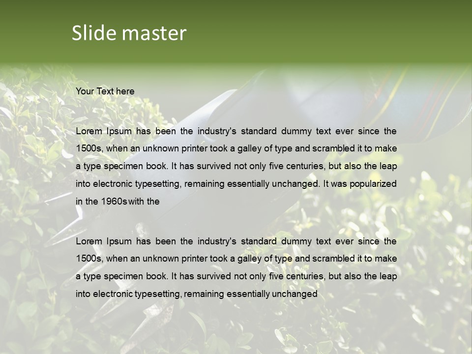 Boxwood Beech Working PowerPoint Template