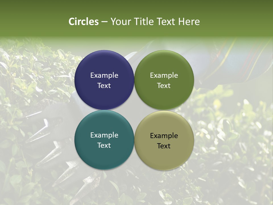 Boxwood Beech Working PowerPoint Template