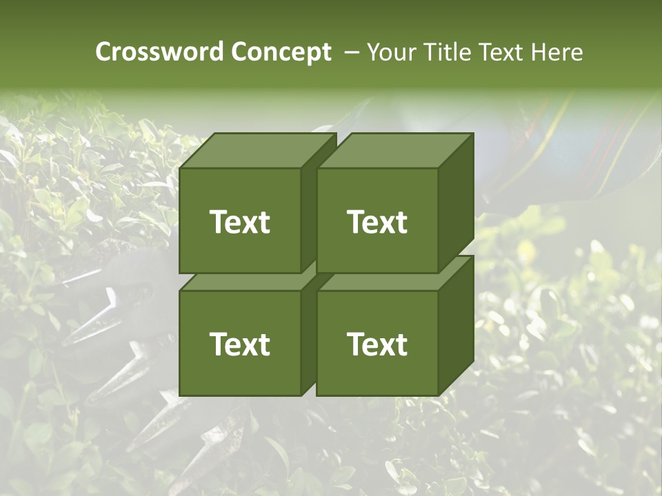 Boxwood Beech Working PowerPoint Template