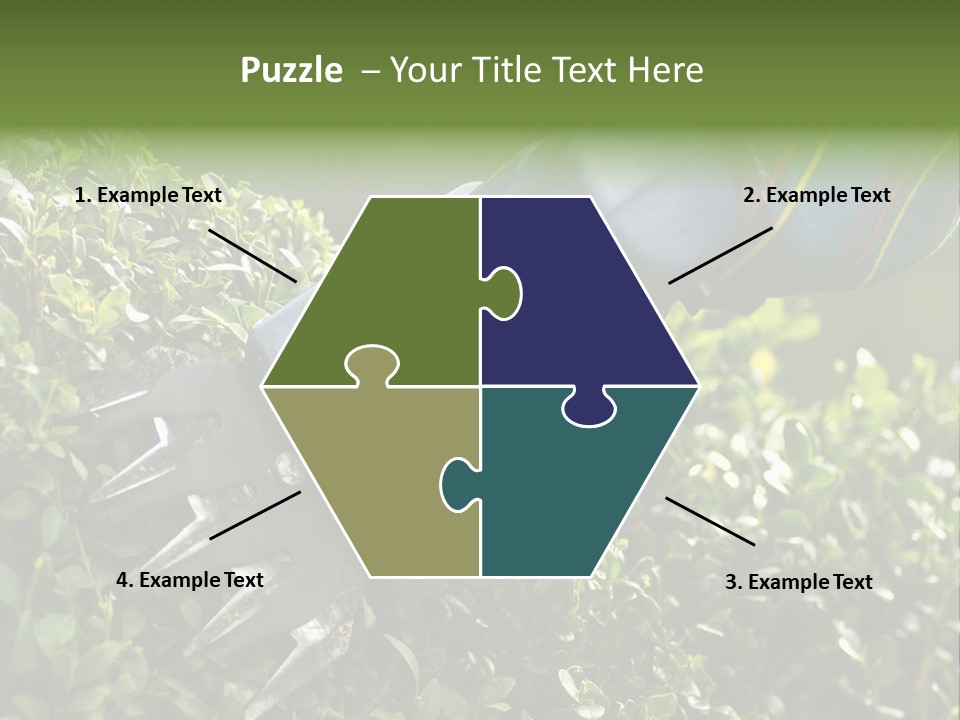 Boxwood Beech Working PowerPoint Template