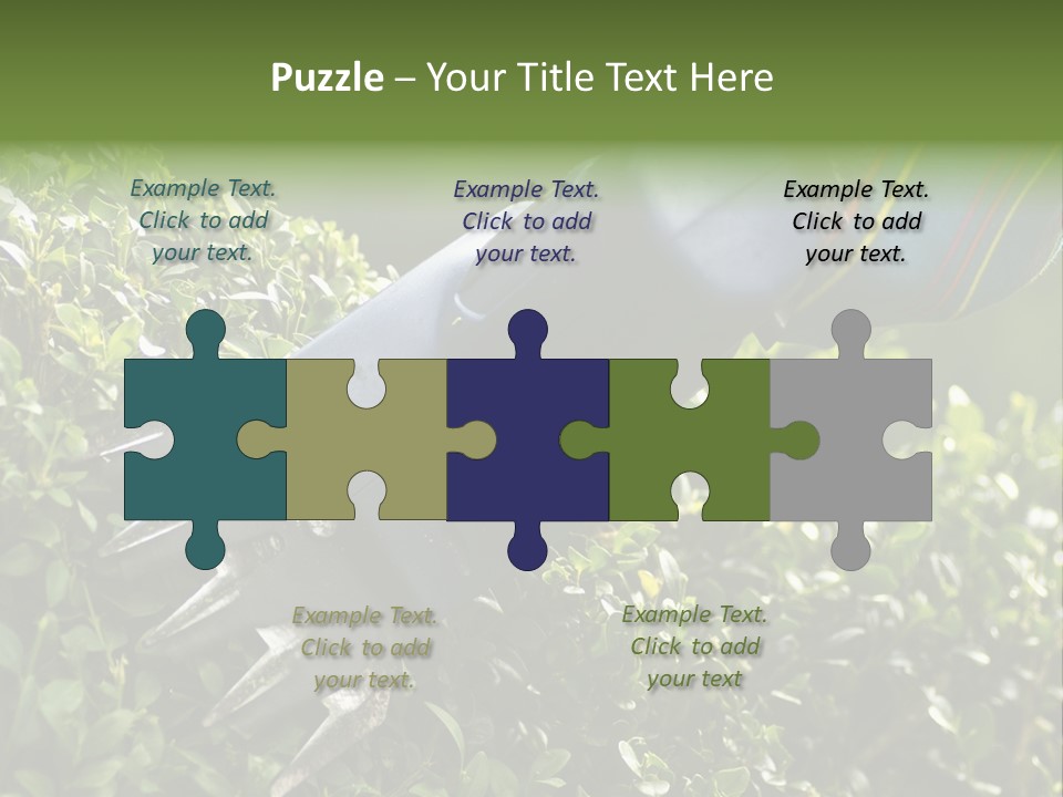 Boxwood Beech Working PowerPoint Template