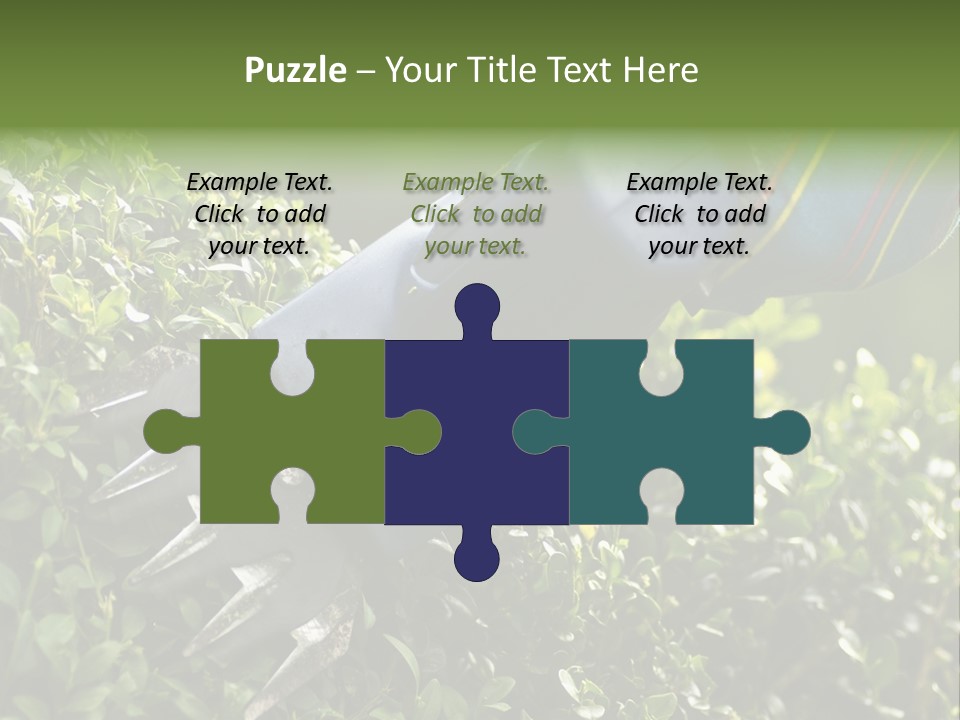 Boxwood Beech Working PowerPoint Template