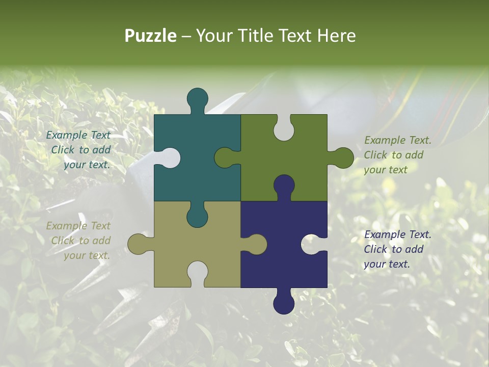 Boxwood Beech Working PowerPoint Template