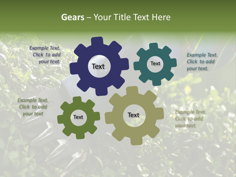 Boxwood Beech Working PowerPoint Template