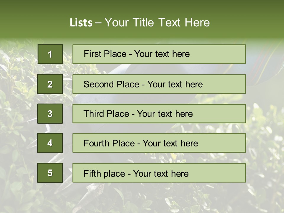 Boxwood Beech Working PowerPoint Template