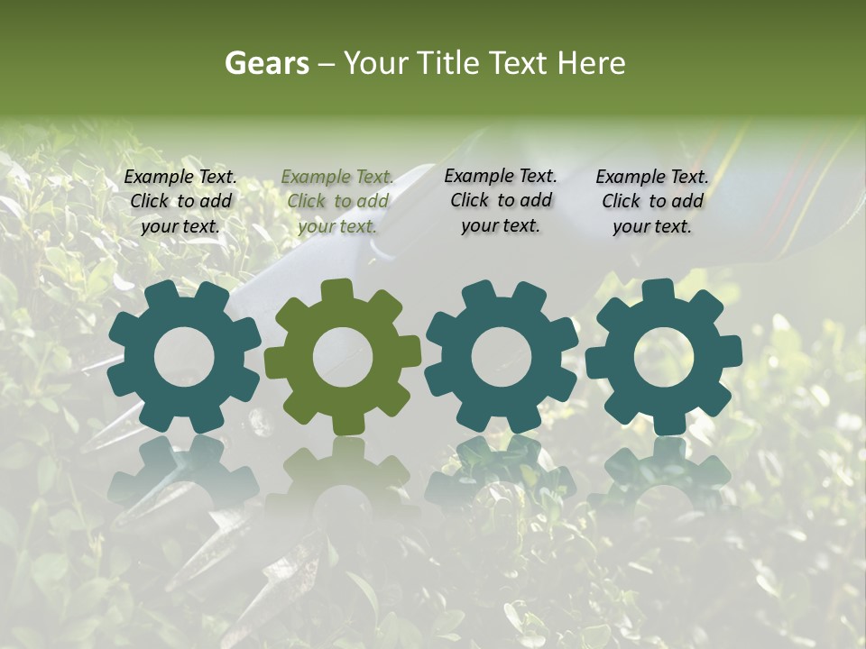 Boxwood Beech Working PowerPoint Template