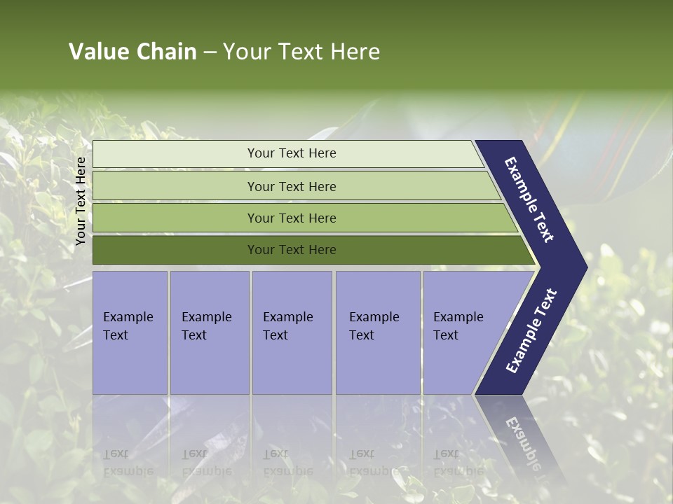Boxwood Beech Working PowerPoint Template