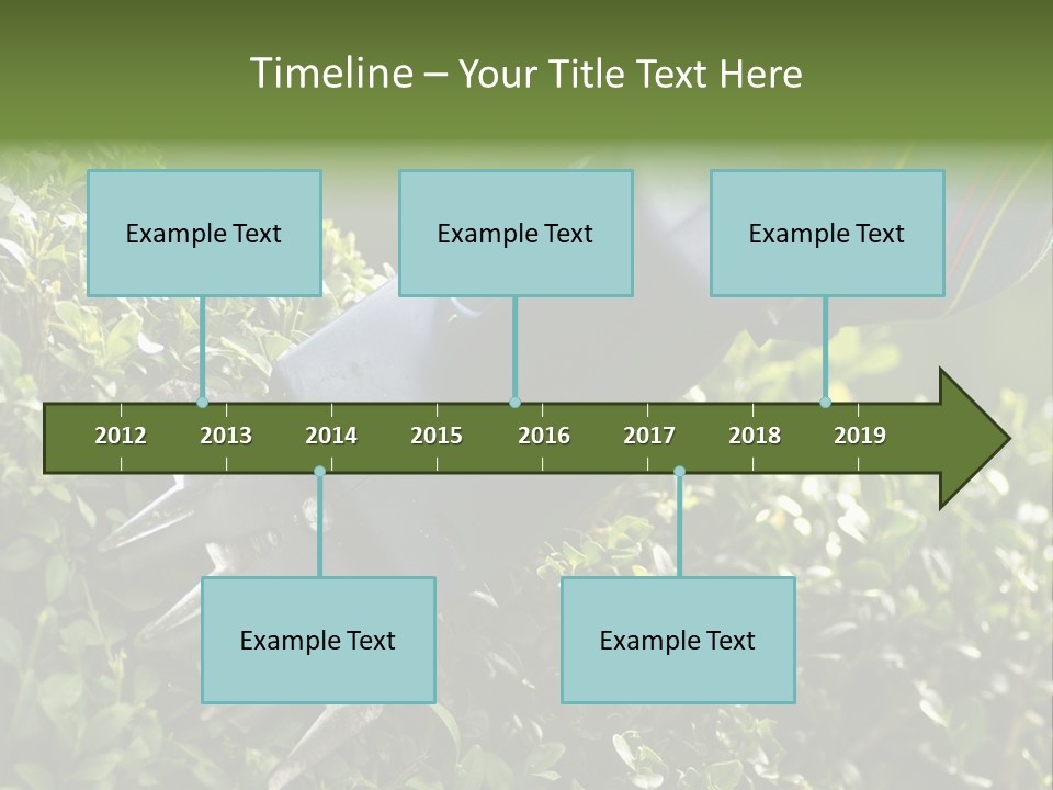 Boxwood Beech Working PowerPoint Template
