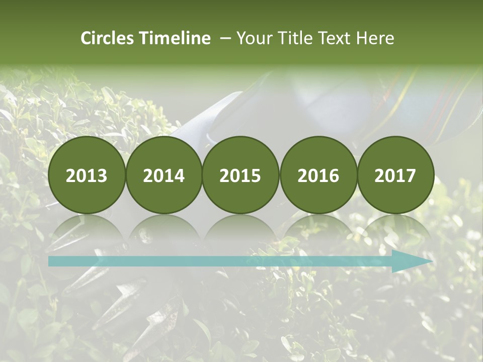 Boxwood Beech Working PowerPoint Template