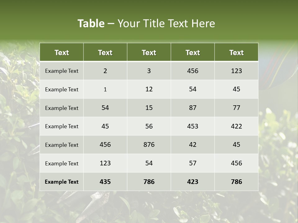 Boxwood Beech Working PowerPoint Template