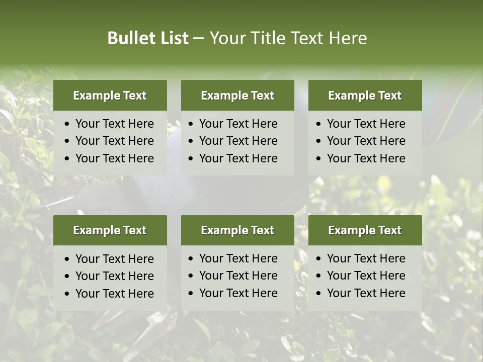 Boxwood Beech Working PowerPoint Template