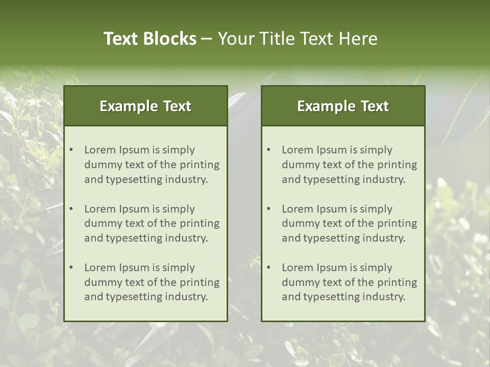 Boxwood Beech Working PowerPoint Template