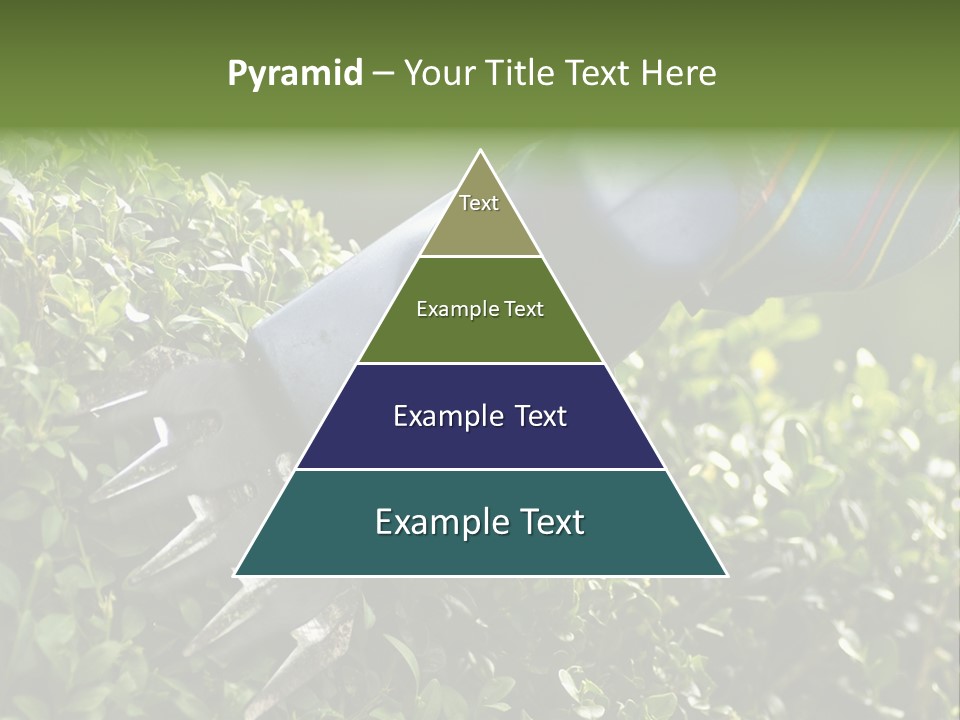Boxwood Beech Working PowerPoint Template