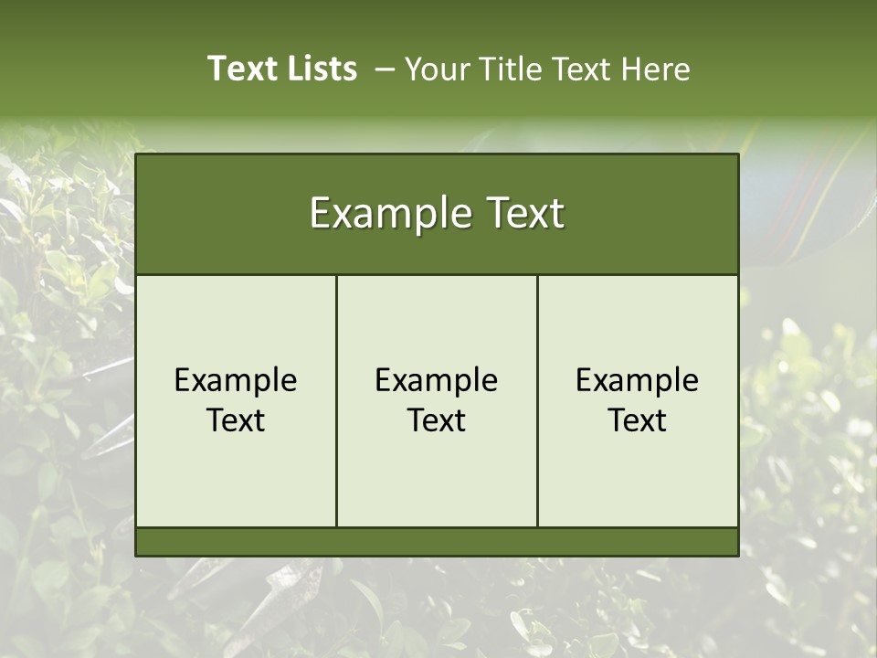 Boxwood Beech Working PowerPoint Template