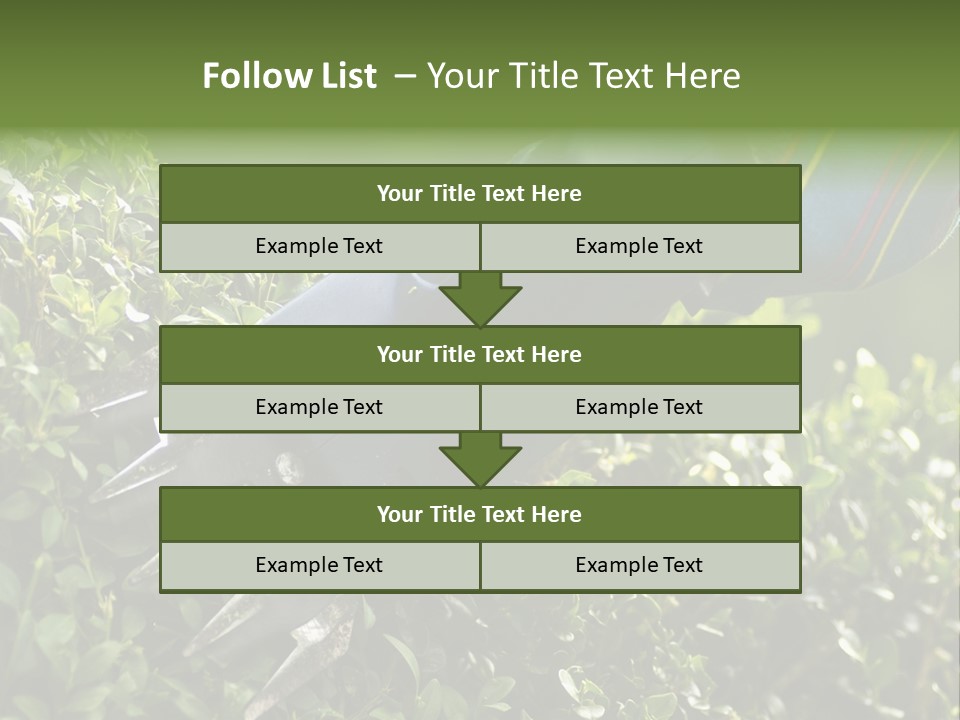 Boxwood Beech Working PowerPoint Template