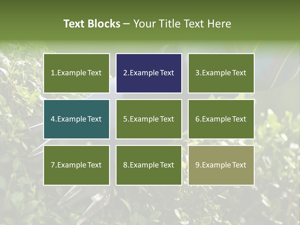 Boxwood Beech Working PowerPoint Template