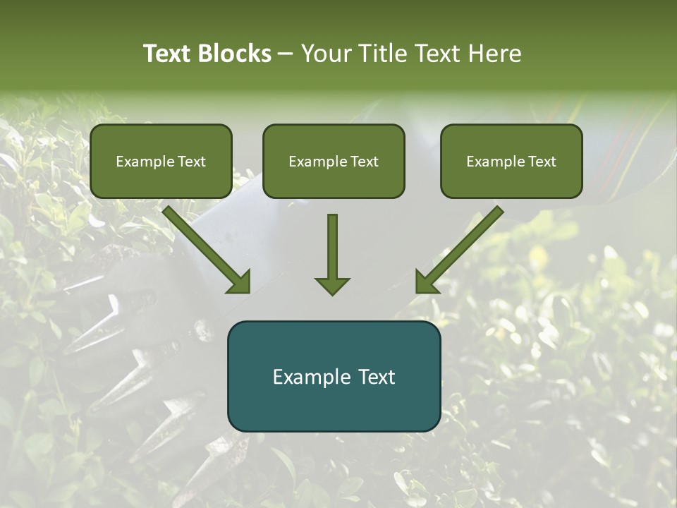 Boxwood Beech Working PowerPoint Template