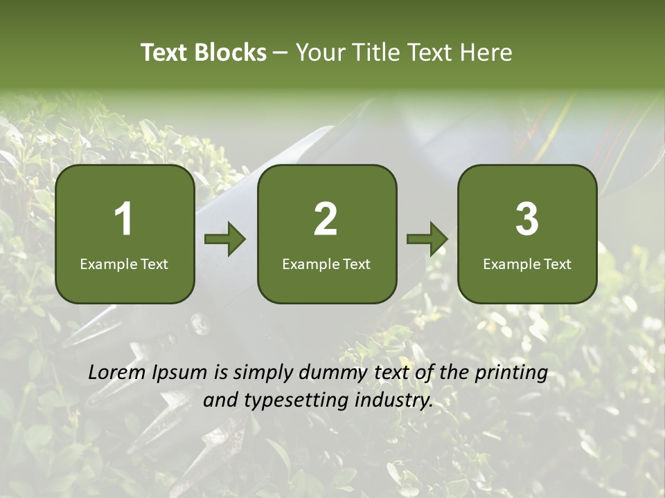 Boxwood Beech Working PowerPoint Template
