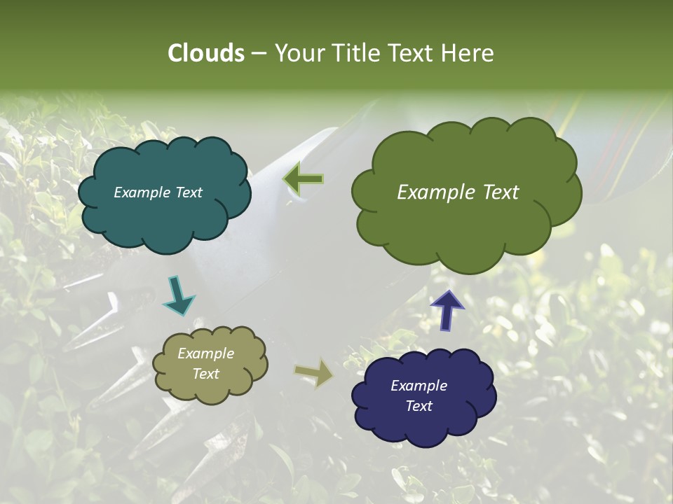 Boxwood Beech Working PowerPoint Template