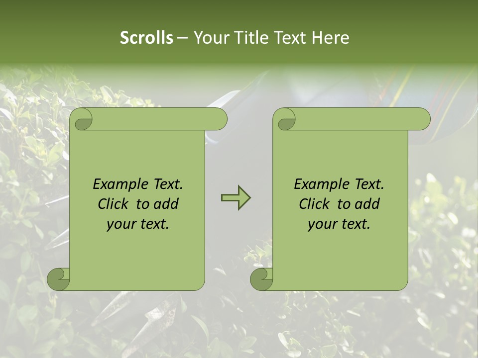 Boxwood Beech Working PowerPoint Template