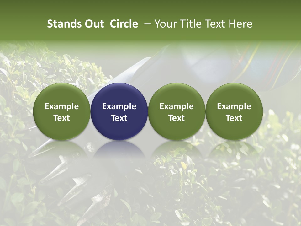 Boxwood Beech Working PowerPoint Template