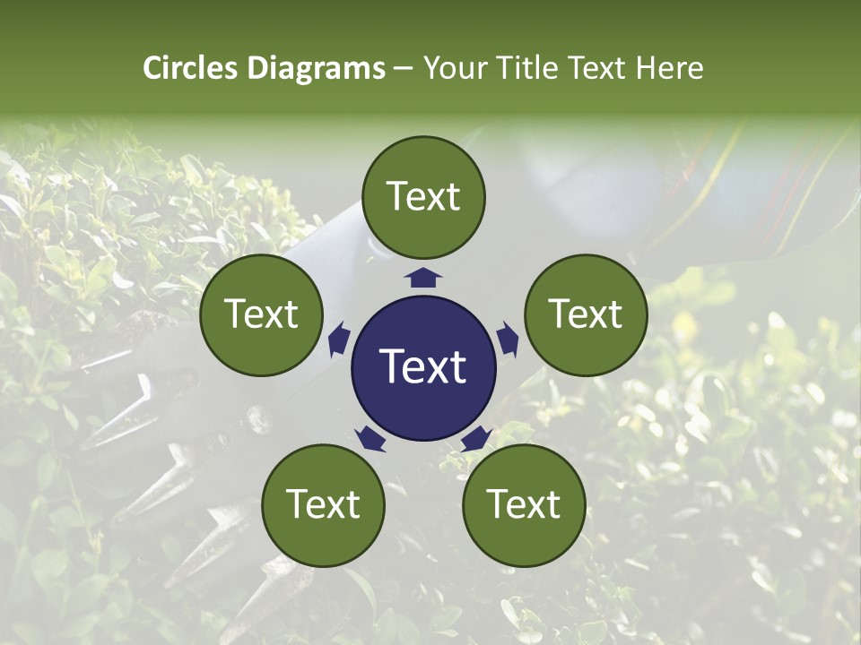 Boxwood Beech Working PowerPoint Template