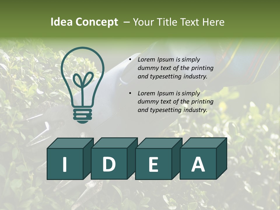 Boxwood Beech Working PowerPoint Template