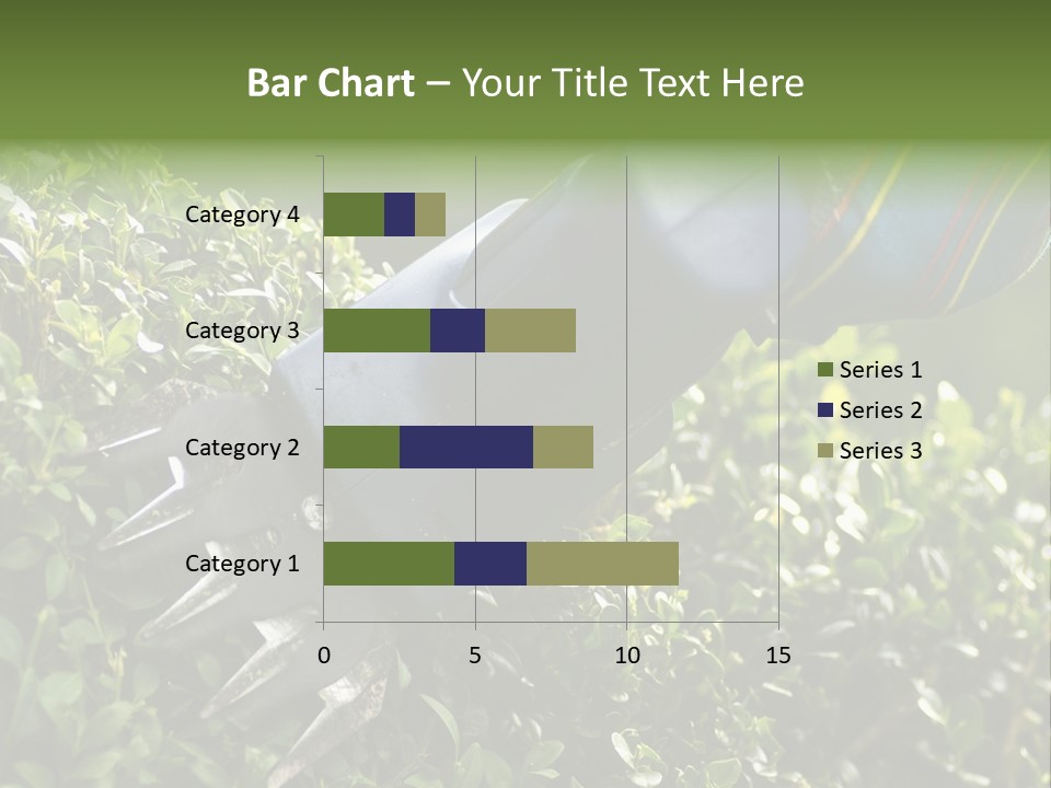 Boxwood Beech Working PowerPoint Template