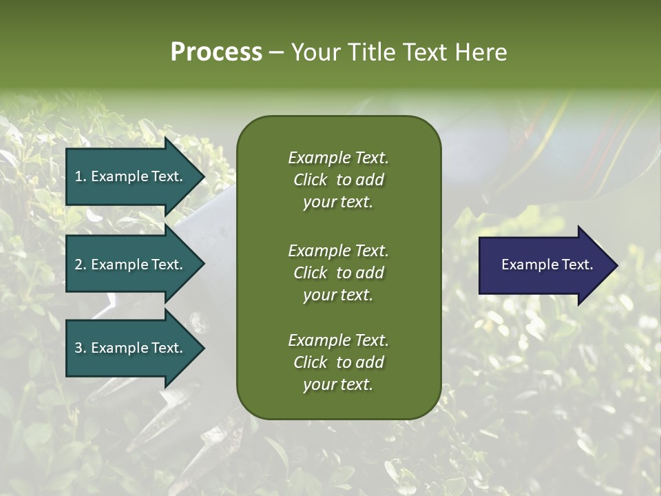 Boxwood Beech Working PowerPoint Template