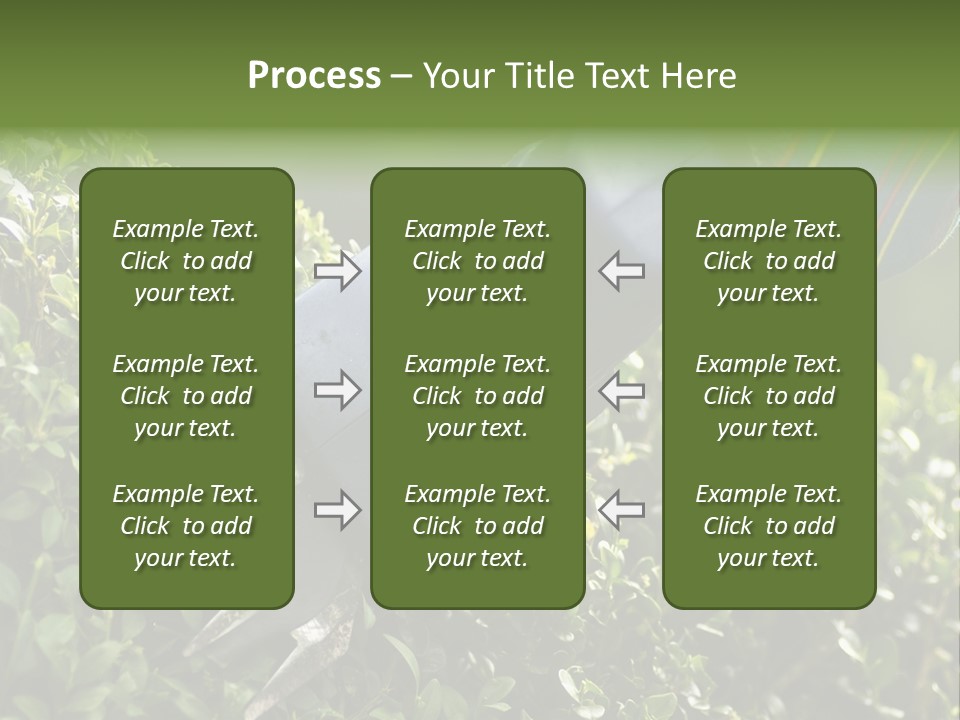 Boxwood Beech Working PowerPoint Template