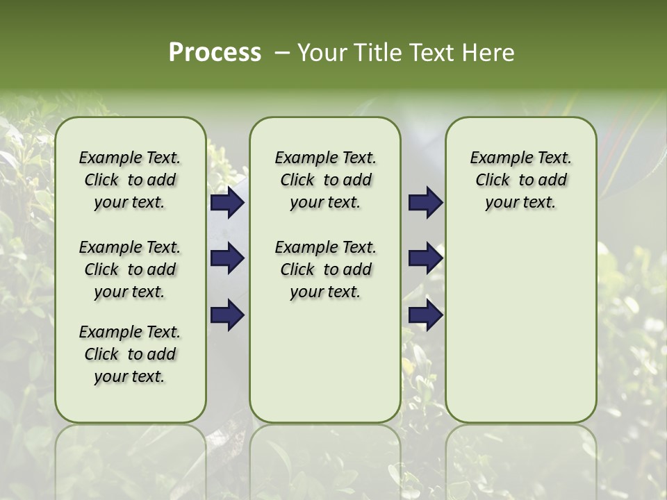 Boxwood Beech Working PowerPoint Template