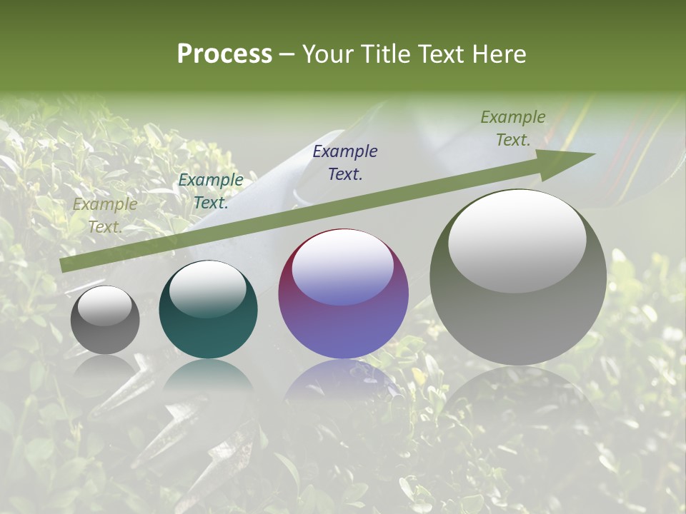 Boxwood Beech Working PowerPoint Template