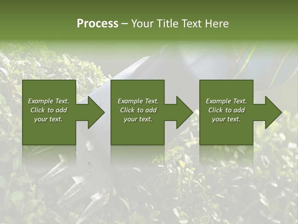 Boxwood Beech Working PowerPoint Template