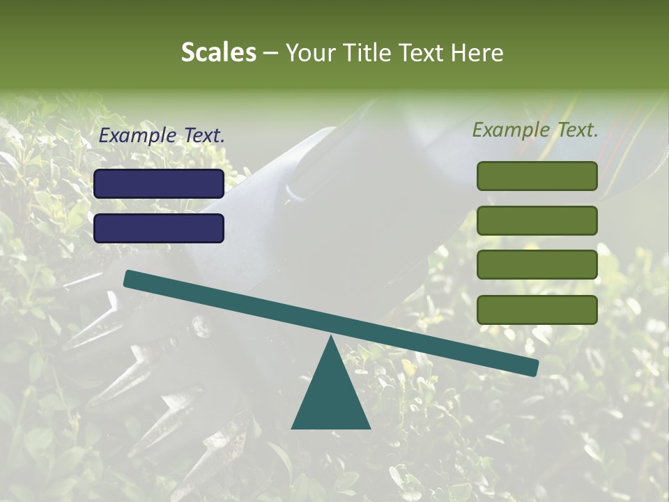 Boxwood Beech Working PowerPoint Template